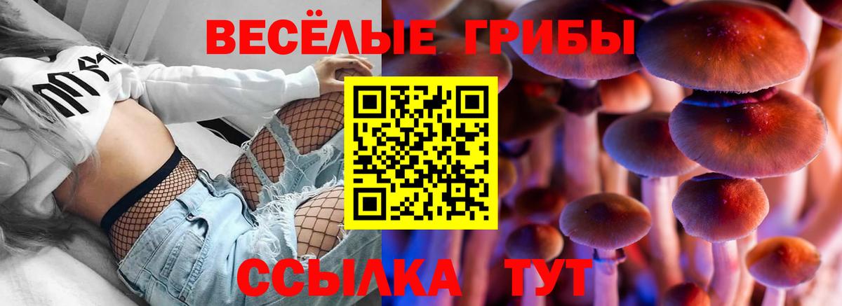 Псилоцибиновые грибы мухоморы Воткинск